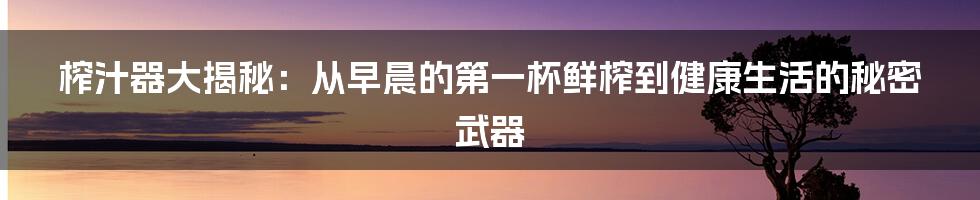 榨汁器大揭秘:从早晨的第一杯鲜榨到健康生活的秘密武器