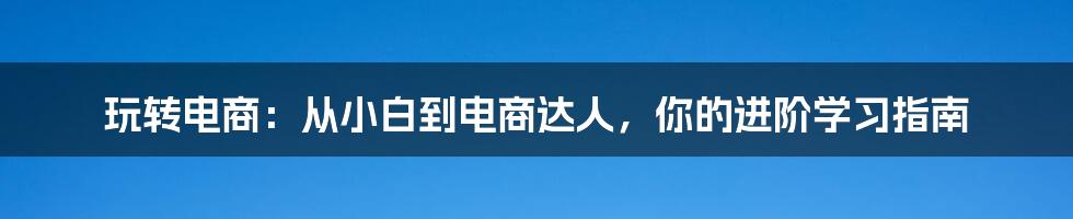 玩转电商:从小白到电商达人,你的进阶学习指南