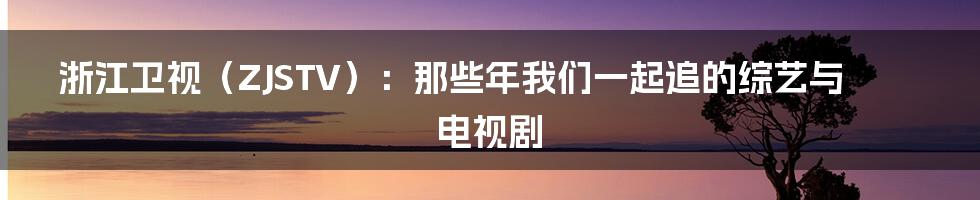 浙江卫视（ZJSTV）：那些年我们一起追的综艺与电视剧