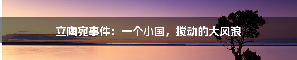 立陶宛事件:一个小国,搅动的大风浪
