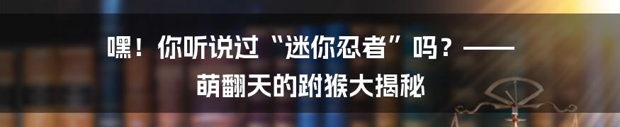 嘿！你听说过“迷你忍者”吗？—— 萌翻天的跗猴大揭秘