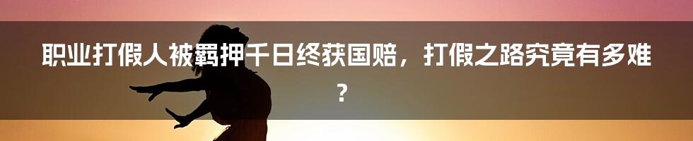 职业打假人被羁押千日终获国赔,打假之路究竟有多难?