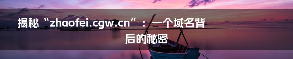 揭秘“zhaofei.cgw.cn”:一个域名背后的秘密