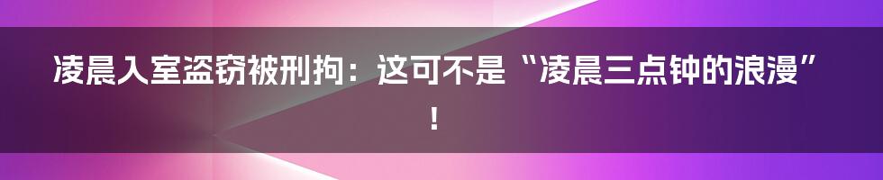 凌晨入室盗窃被刑拘:这可不是“凌晨三点钟的浪漫”!