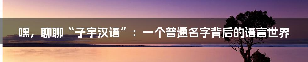 嘿,聊聊“子宇汉语”:一个普通名字背后的语言世界