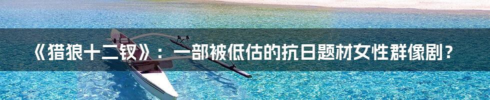 《猎狼十二钗》：一部被低估的抗日题材女性群像剧？