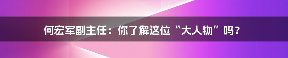 何宏军副主任:你了解这位“大人物”吗?
