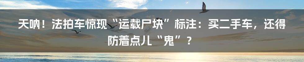 天呐！法拍车惊现“运载尸块”标注：买二手车，还得防着点儿“鬼”？