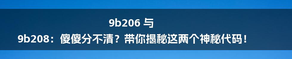 9b206 与 9b208：傻傻分不清？带你揭秘这两个神秘代码！