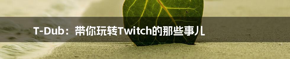 T-Dub:带你玩转Twitch的那些事儿