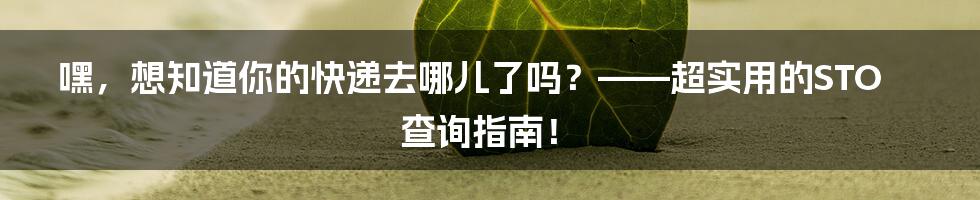 嘿，想知道你的快递去哪儿了吗？——超实用的STO查询指南！