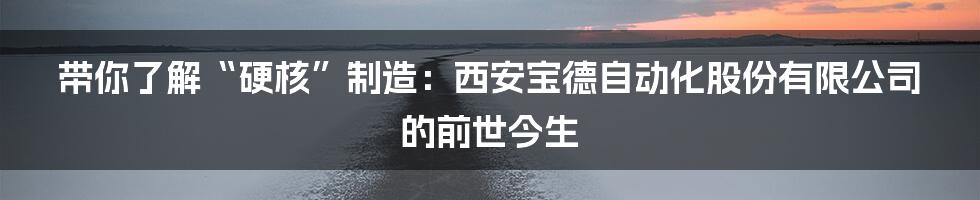 带你了解“硬核”制造:西安宝德自动化股份有限公司的前世今生