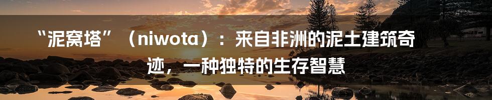“泥窝塔”(niwota):来自非洲的泥土建筑奇迹,一种独特的生存智慧