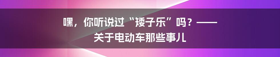 嘿，你听说过“矮子乐”吗？—— 关于电动车那些事儿
