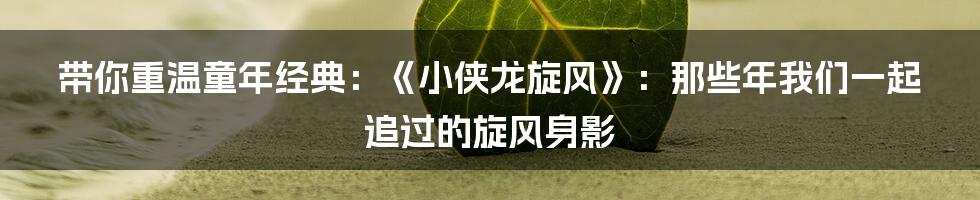 带你重温童年经典:《小侠龙旋风》:那些年我们一起追过的旋风身影