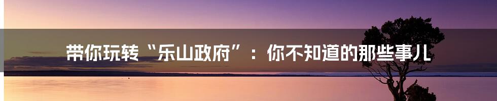 带你玩转“乐山政府”:你不知道的那些事儿