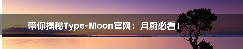 带你揭秘Type-Moon官网:月厨必看!