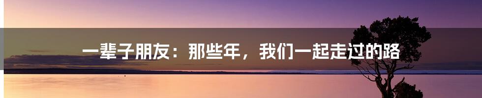 一辈子朋友:那些年,我们一起走过的路
