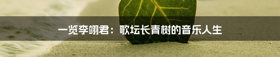 一览李翊君:歌坛长青树的音乐人生