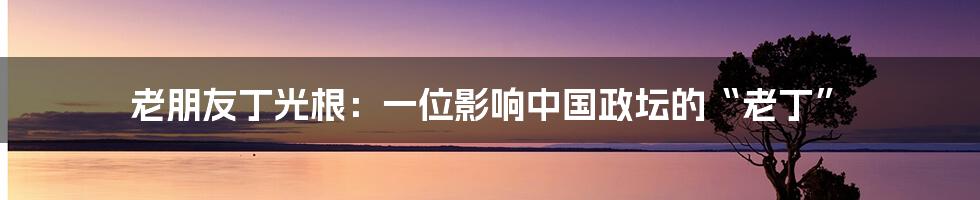 老朋友丁光根:一位影响中国政坛的“老丁”