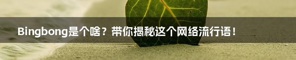 Bingbong是个啥?带你揭秘这个网络流行语!