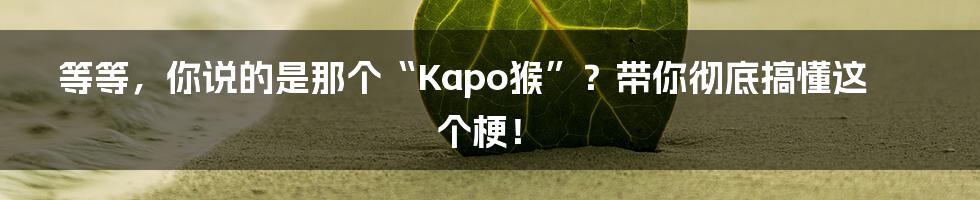 等等,你说的是那个“Kapo猴”?带你彻底搞懂这个梗!