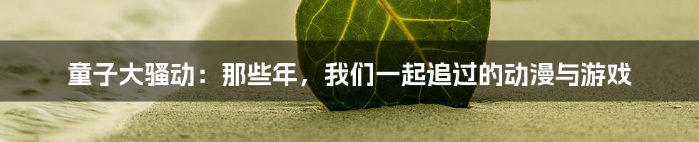 童子大骚动：那些年，我们一起追过的动漫与游戏