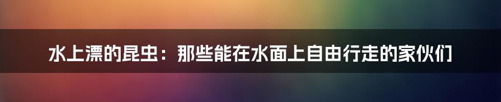 水上漂的昆虫:那些能在水面上自由行走的家伙们