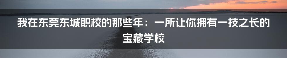 我在东莞东城职校的那些年:一所让你拥有一技之长的宝藏学校