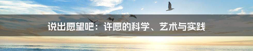 说出愿望吧:许愿的科学、艺术与实践