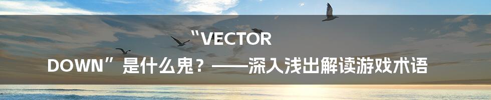 “VECTOR DOWN”是什么鬼?——深入浅出解读游戏术语