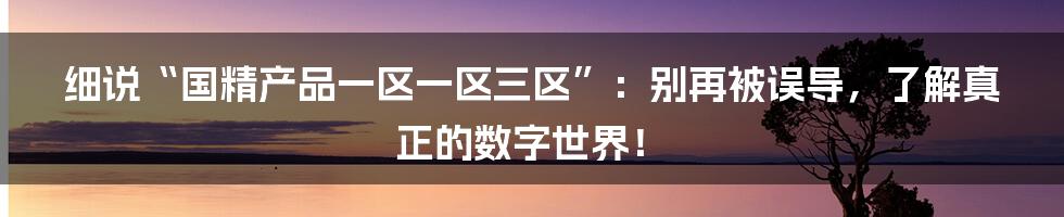 细说“国精产品一区一区三区”:别再被误导,了解真正的数字世界!
