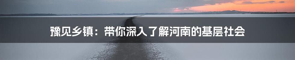豫见乡镇:带你深入了解河南的基层社会