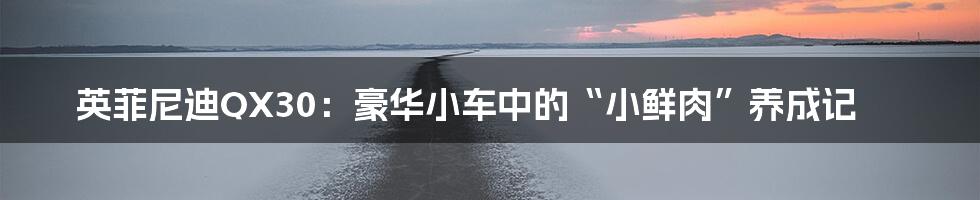英菲尼迪QX30：豪华小车中的“小鲜肉”养成记