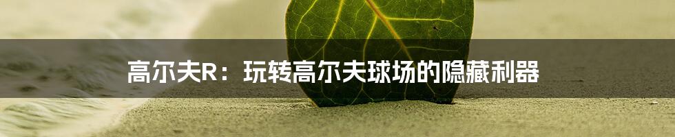 高尔夫R:玩转高尔夫球场的隐藏利器