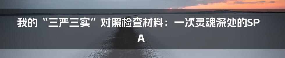 我的“三严三实”对照检查材料:一次灵魂深处的SPA