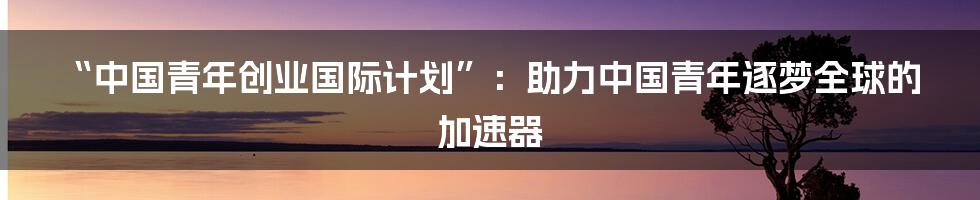 “中国青年创业国际计划”:助力中国青年逐梦全球的加速器