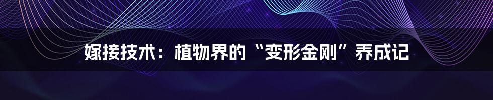 嫁接技术:植物界的“变形金刚”养成记