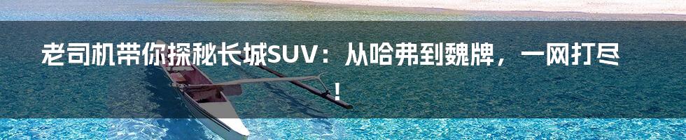 老司机带你探秘长城SUV:从哈弗到魏牌,一网打尽!