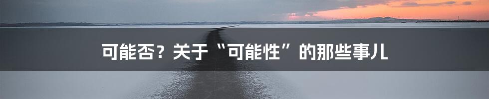 可能否?关于“可能性”的那些事儿