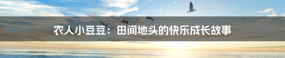 农人小豆豆:田间地头的快乐成长故事