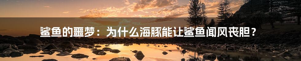 鲨鱼的噩梦:为什么海豚能让鲨鱼闻风丧胆?
