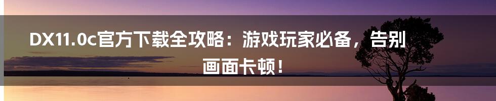 DX11.0c官方下载全攻略:游戏玩家必备,告别画面卡顿!