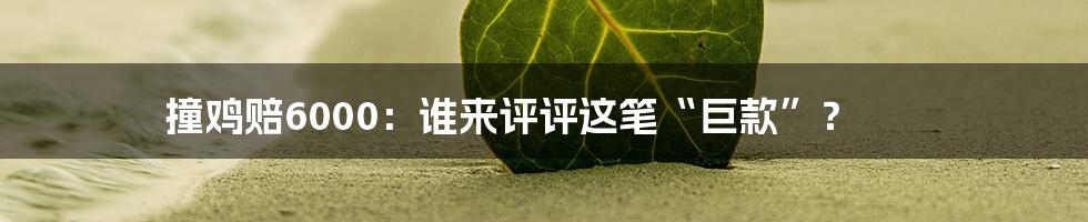 撞鸡赔6000：谁来评评这笔“巨款”？
