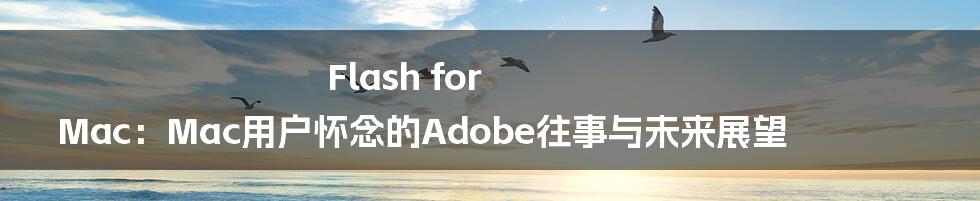 Flash for Mac:Mac用户怀念的Adobe往事与未来展望