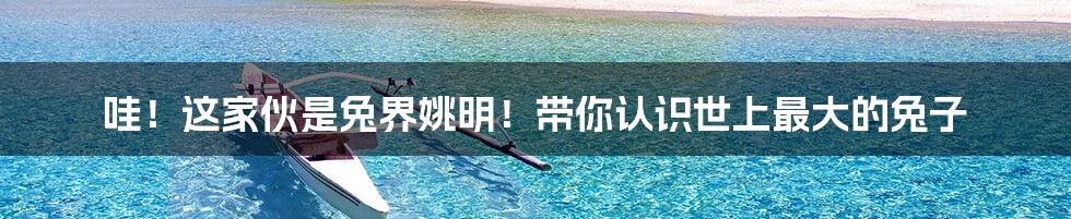哇!这家伙是兔界姚明!带你认识世上最大的兔子