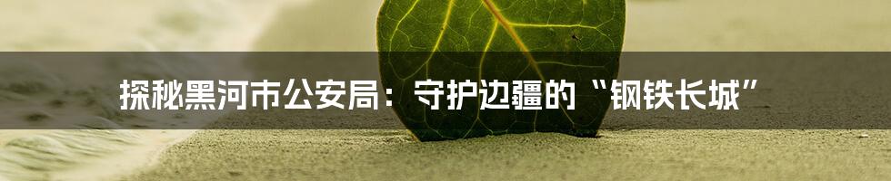 探秘黑河市公安局:守护边疆的“钢铁长城”