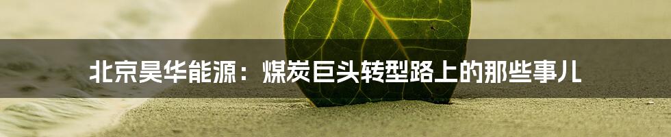 北京昊华能源:煤炭巨头转型路上的那些事儿
