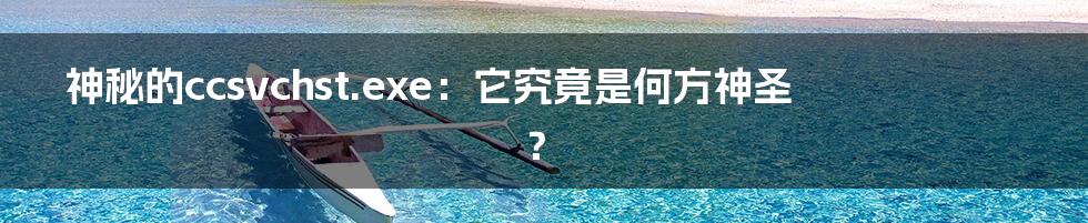 神秘的ccsvchst.exe:它究竟是何方神圣?