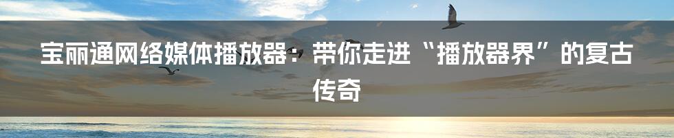 宝丽通网络媒体播放器:带你走进“播放器界”的复古传奇